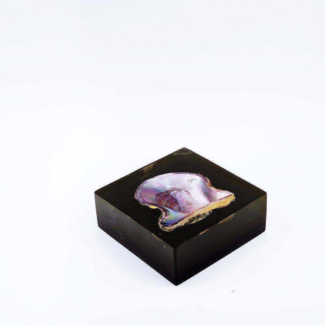 Pierre Giraudon Inclusion Of Pearl Oyster Shell   20th photo 487.0