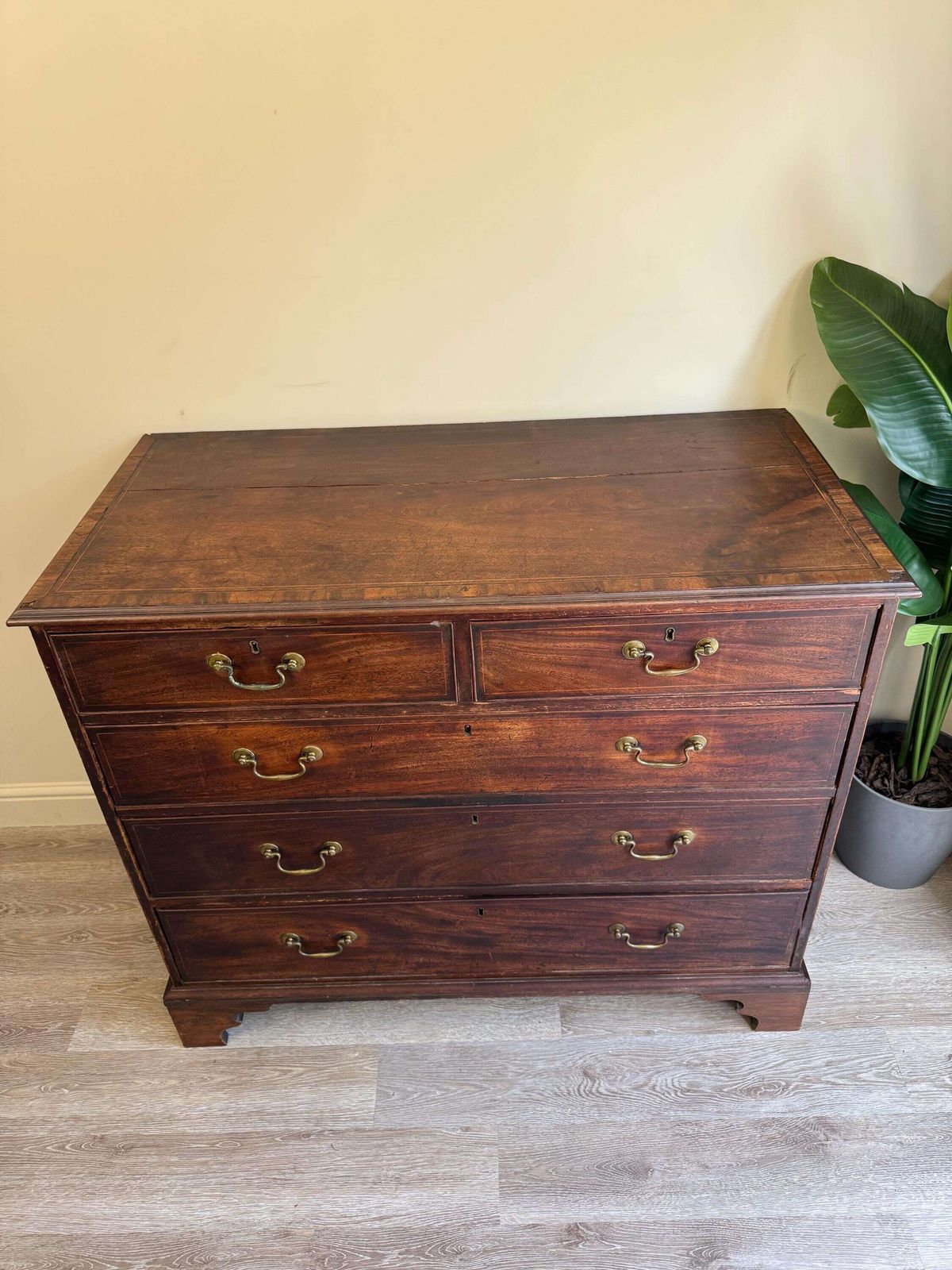 Antique Georgian Solid Wood Extra Large Chest Of Drawers Mahogany Oak photo for sale