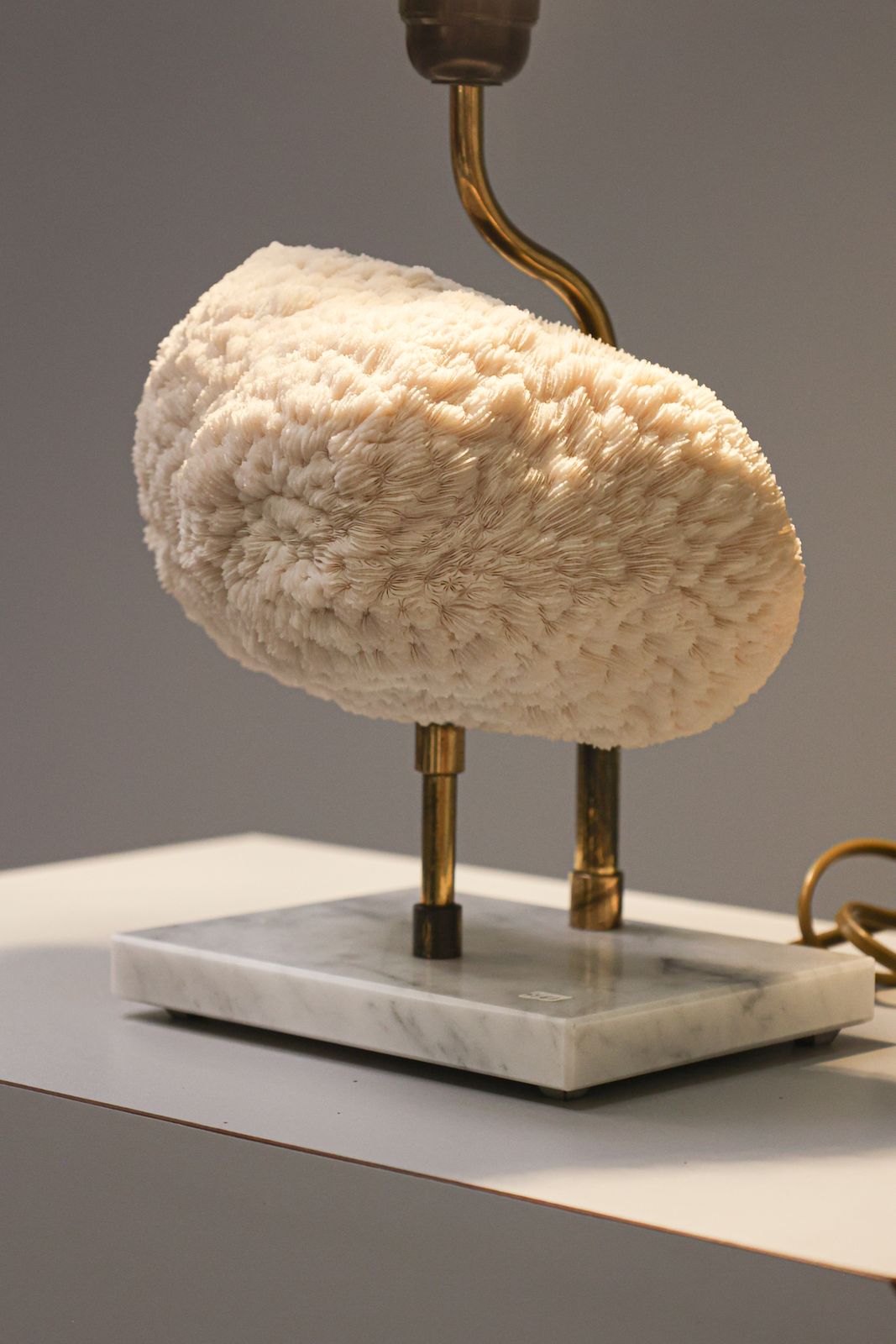 Halomitra Pileus (Coral) Tafellamp, Jaren 1970. photo furniture