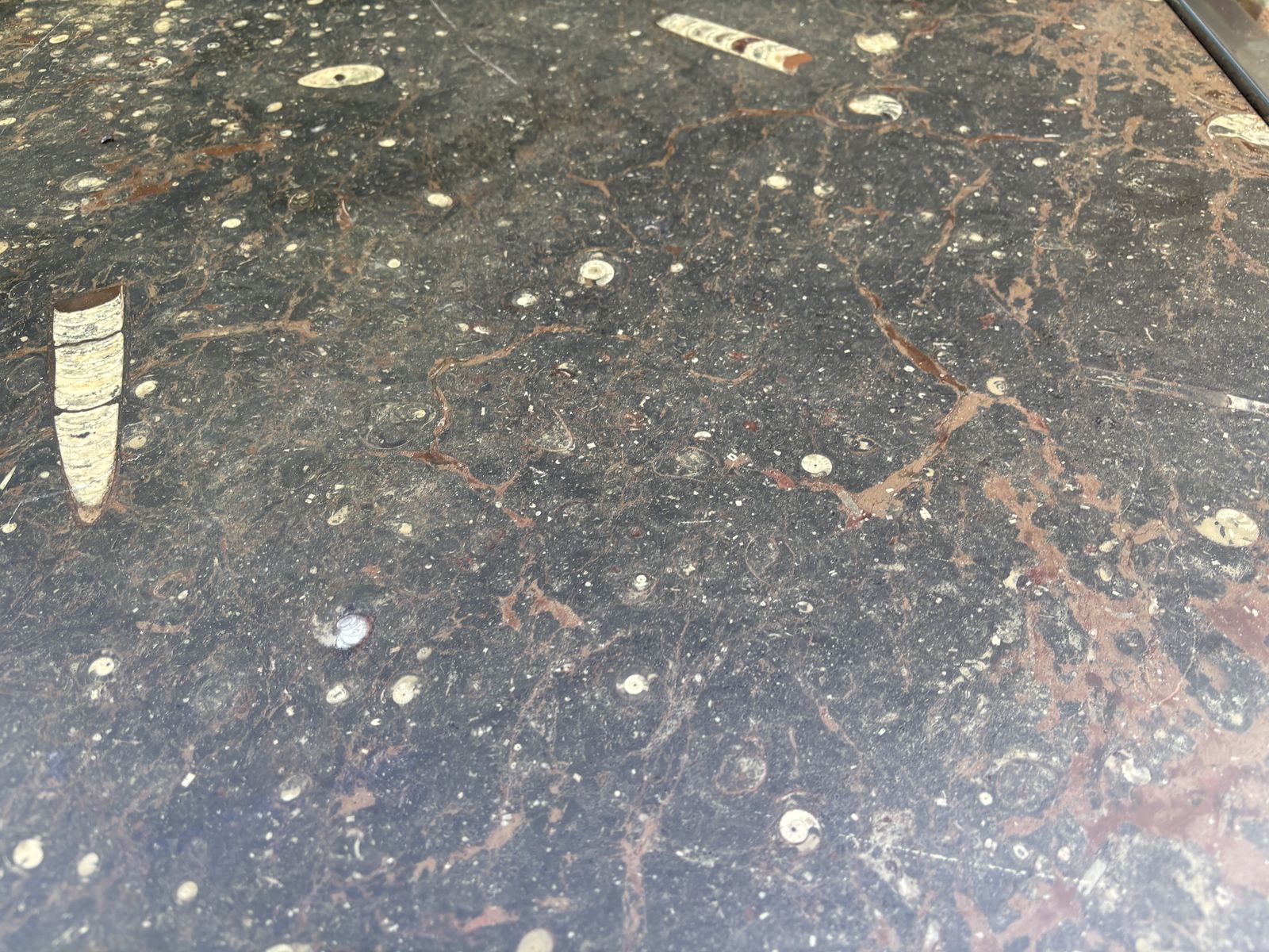 Vintage 1970s Inlaid Fossils + Steel Coffee Table   Style Of Ronald Schmitt photo for sale