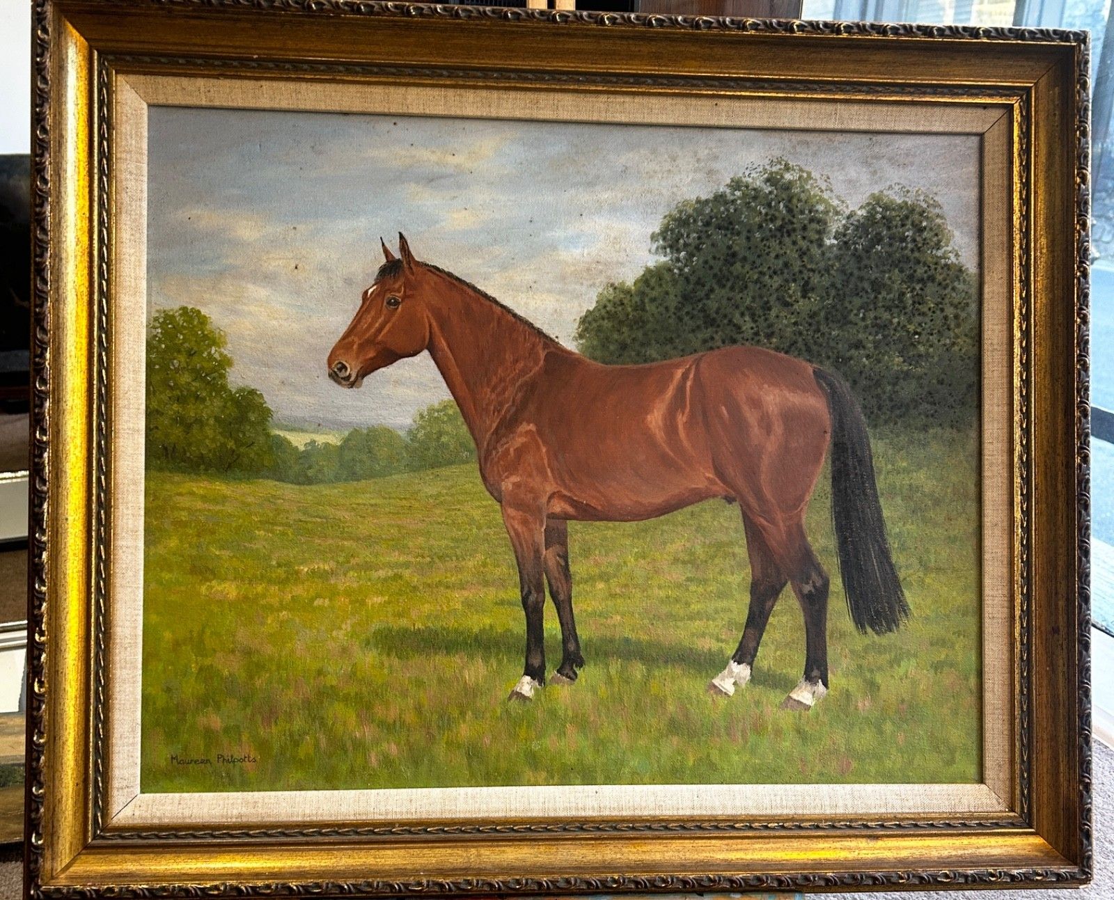 Oil On Canvas  Horse  Mid Century Signed Framed 1960/70's Portrait Landscape