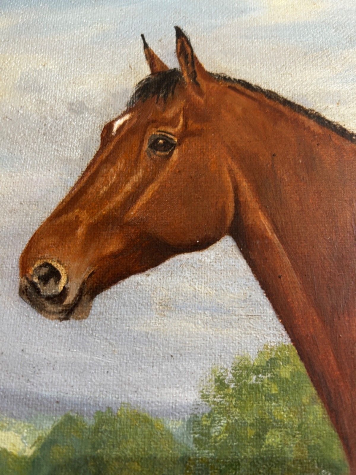 Oil On Canvas  Horse  Mid Century Signed Framed 1960/70's Portrait Landscape photo buy