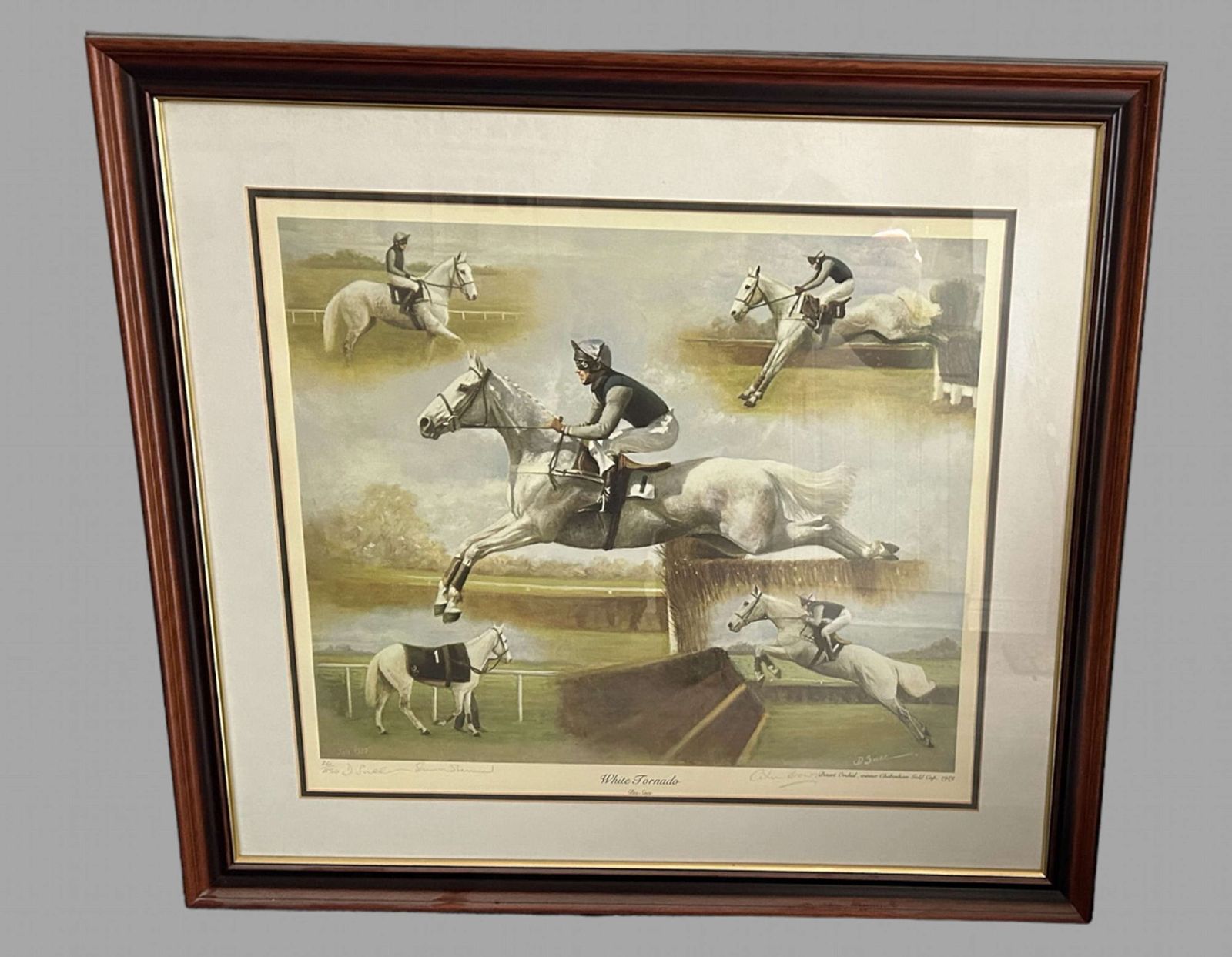 Desmond Snee   Desert Orchid Ltd Edition Signed No 26/850