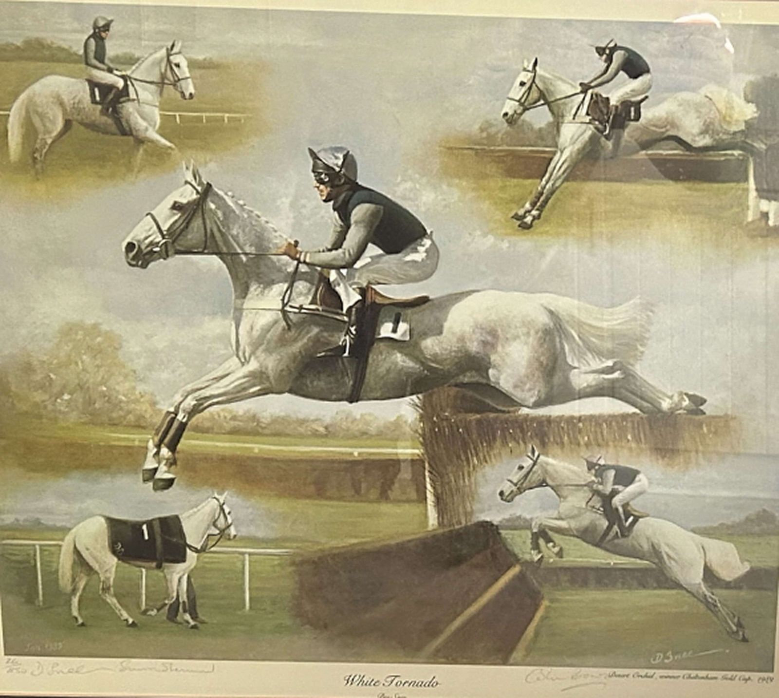 Desmond Snee   Desert Orchid Ltd Edition Signed No 26/850 photo furniture