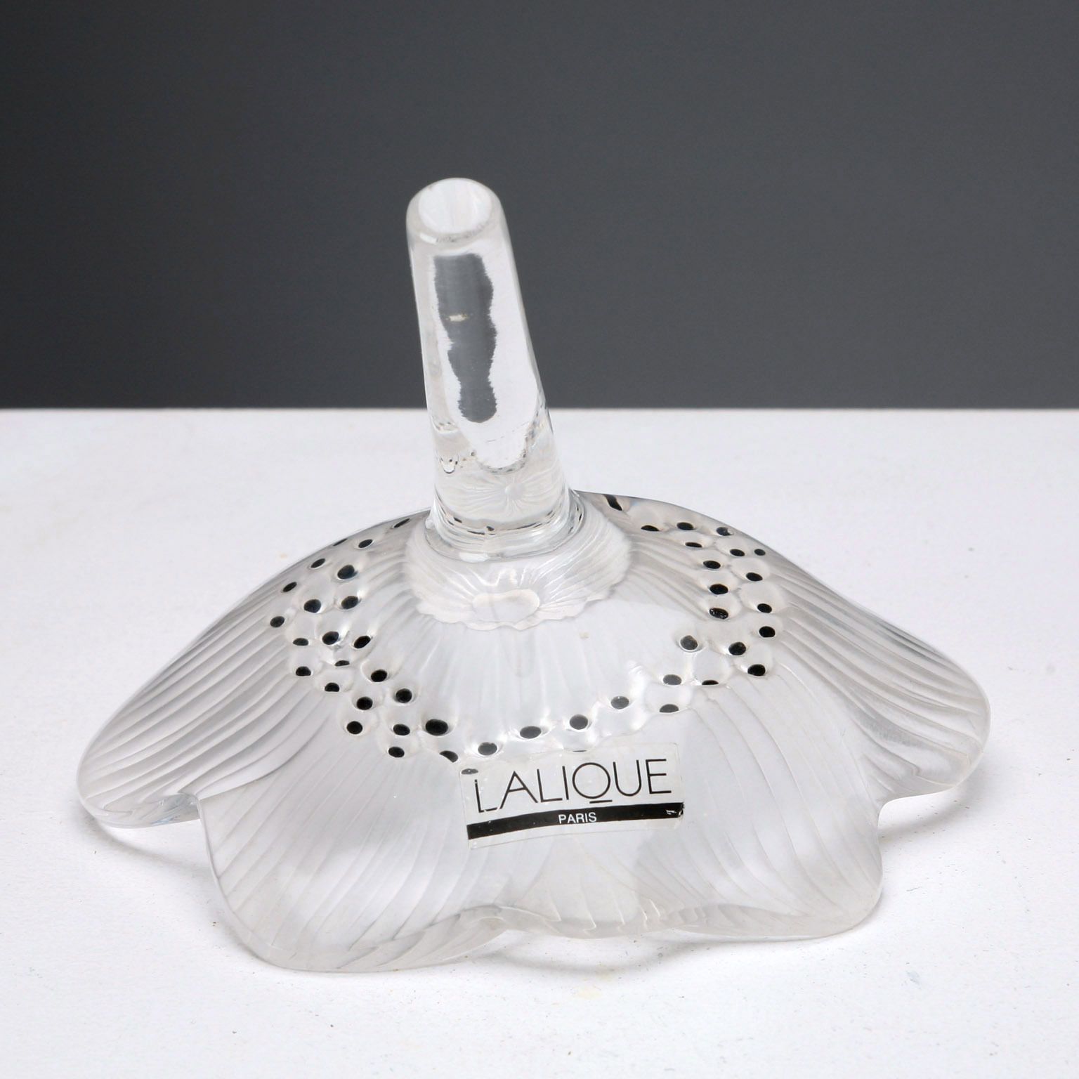 Lalique Glass Anemone Antique France XX Century photo 120.0