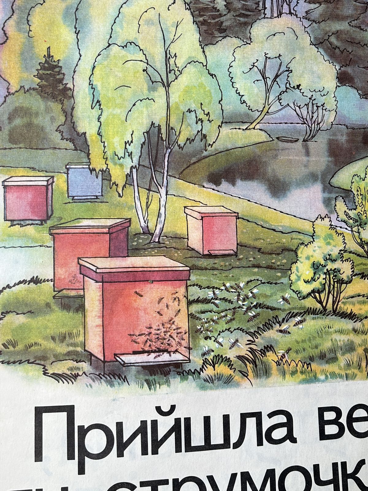 1983 Rare Original Ukrainian Vintage Double Sided Nursery Alphabet Poster: Nature, Kids, Bees & Family Tea photo Art