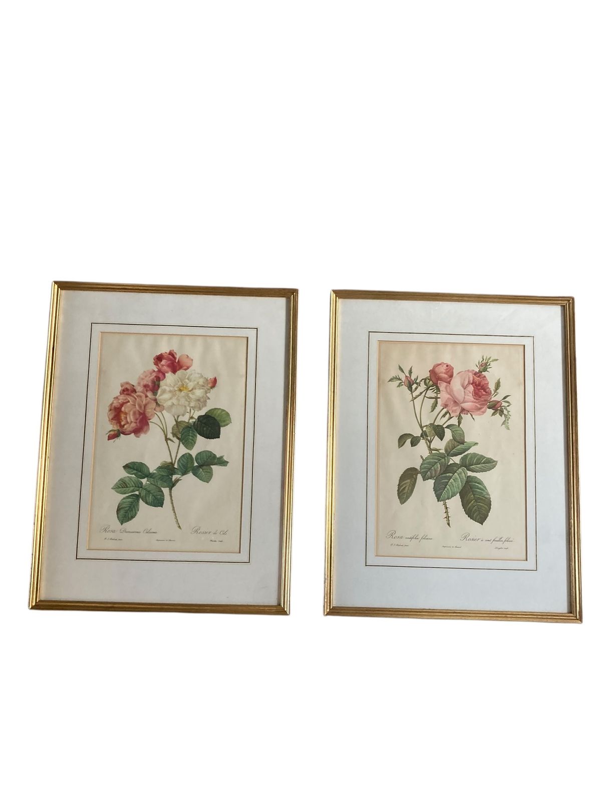 Pair Of Framed Botanical Prints Features The Work Of The Renowned French Floral Artist Pierre Joseph Redoute (1759–1840) photo Art