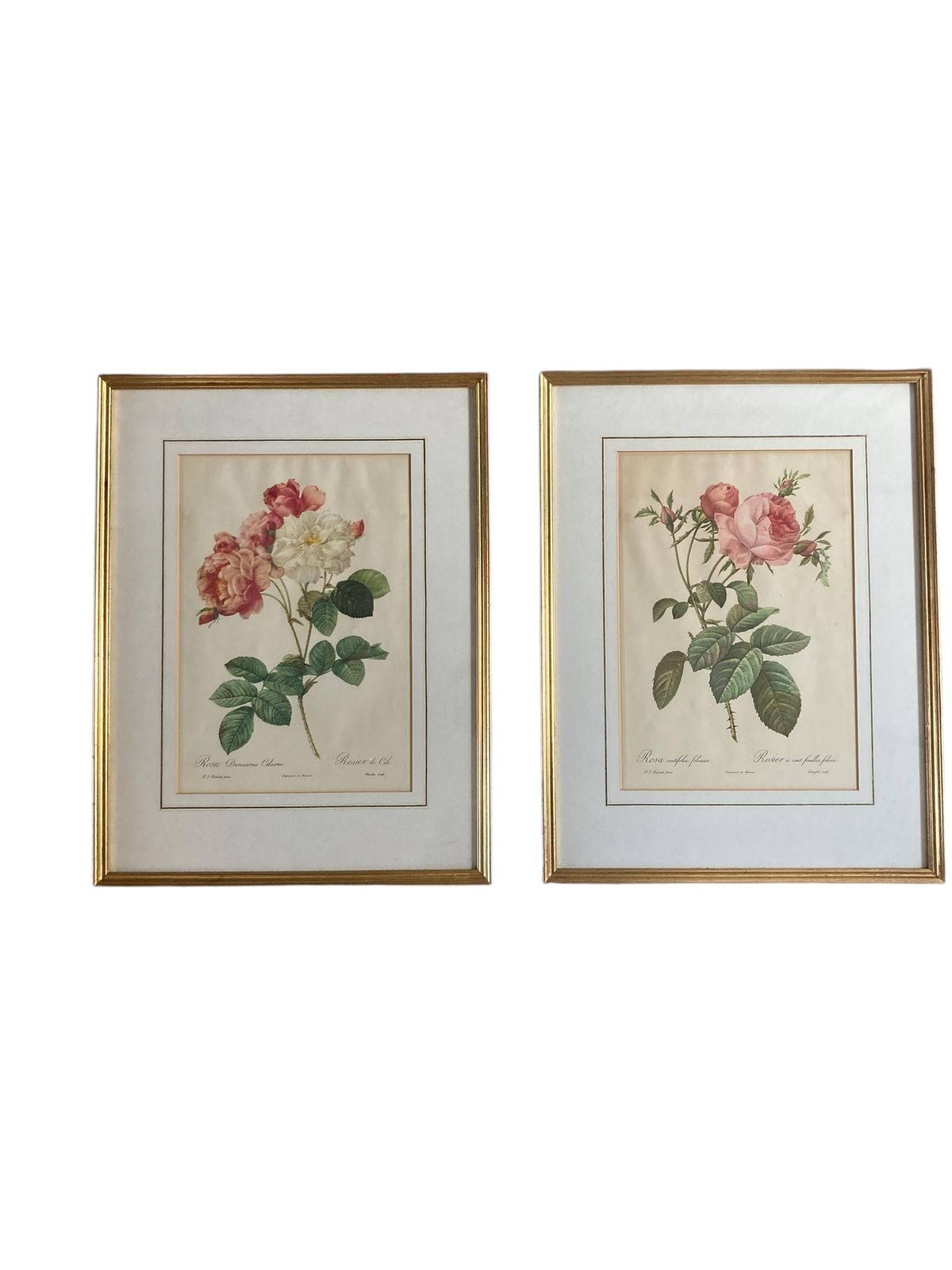 Pair Of Framed Botanical Prints Features The Work Of The Renowned French Floral Artist Pierre Joseph Redoute (1759–1840) photo 220.0