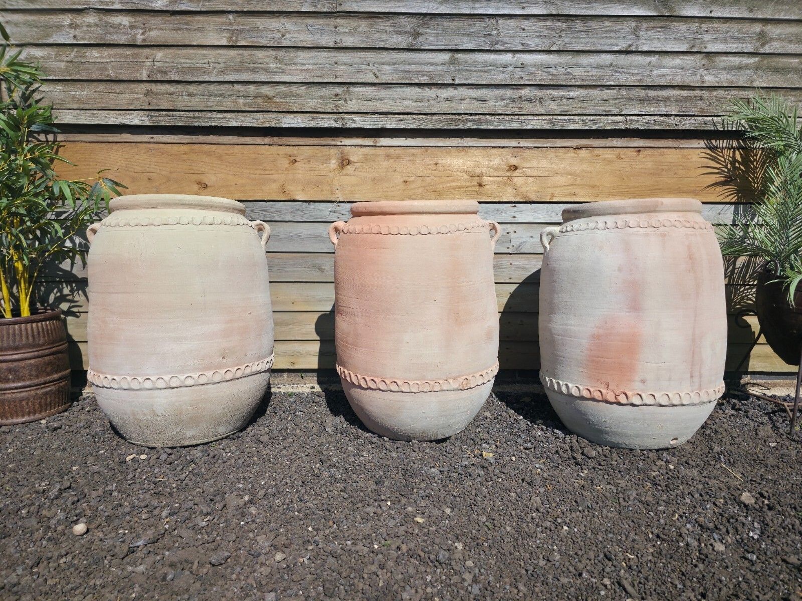 Large Rustic Mediterranean Terracotta Olive Tree Garden Plant Pot Planter Urn photo buy