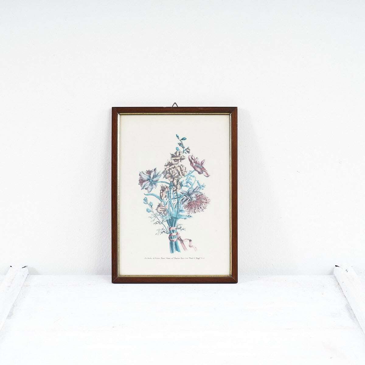 Vintage Botanical Art Flower Prints, 1930s