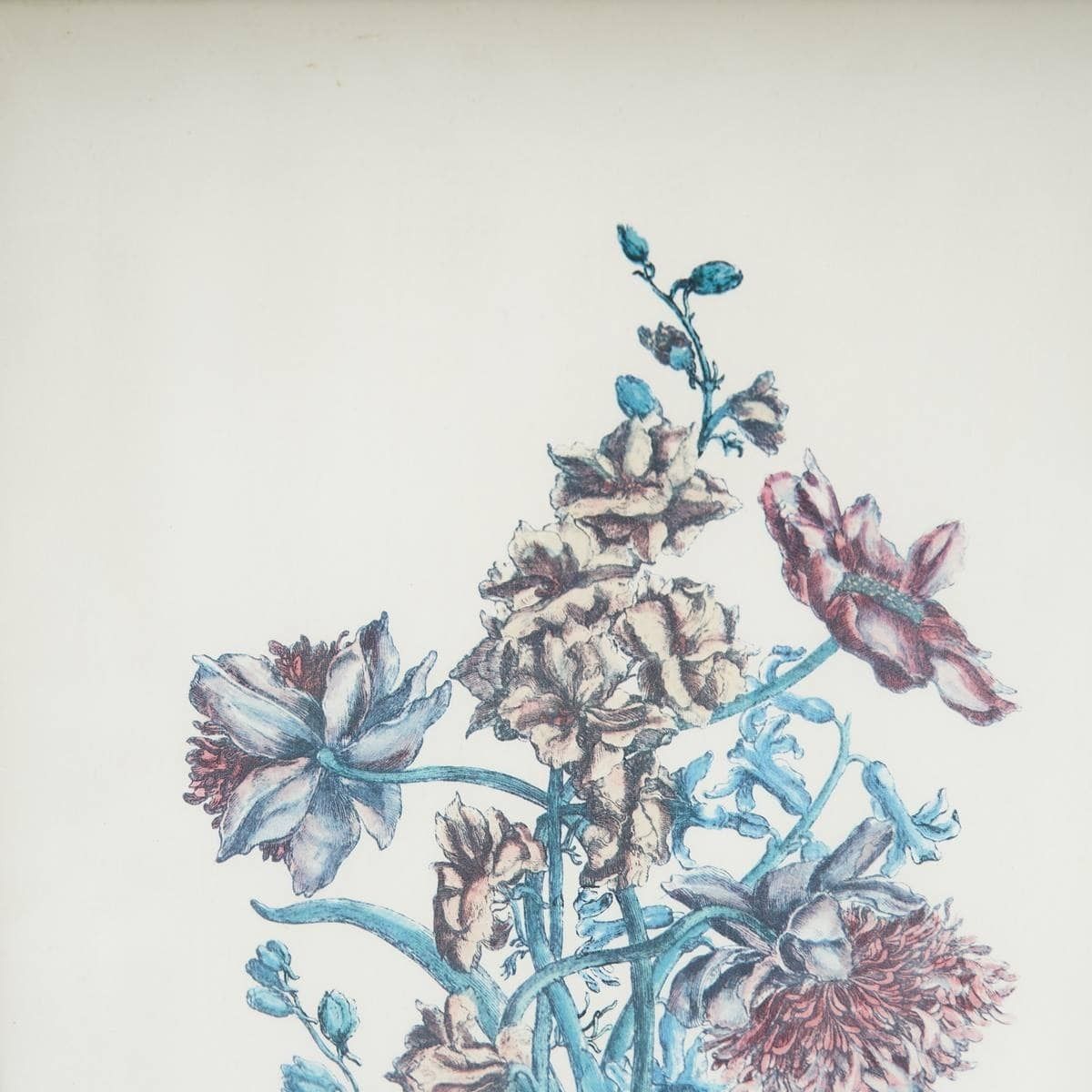 Vintage Botanical Art Flower Prints, 1930s photo for sale
