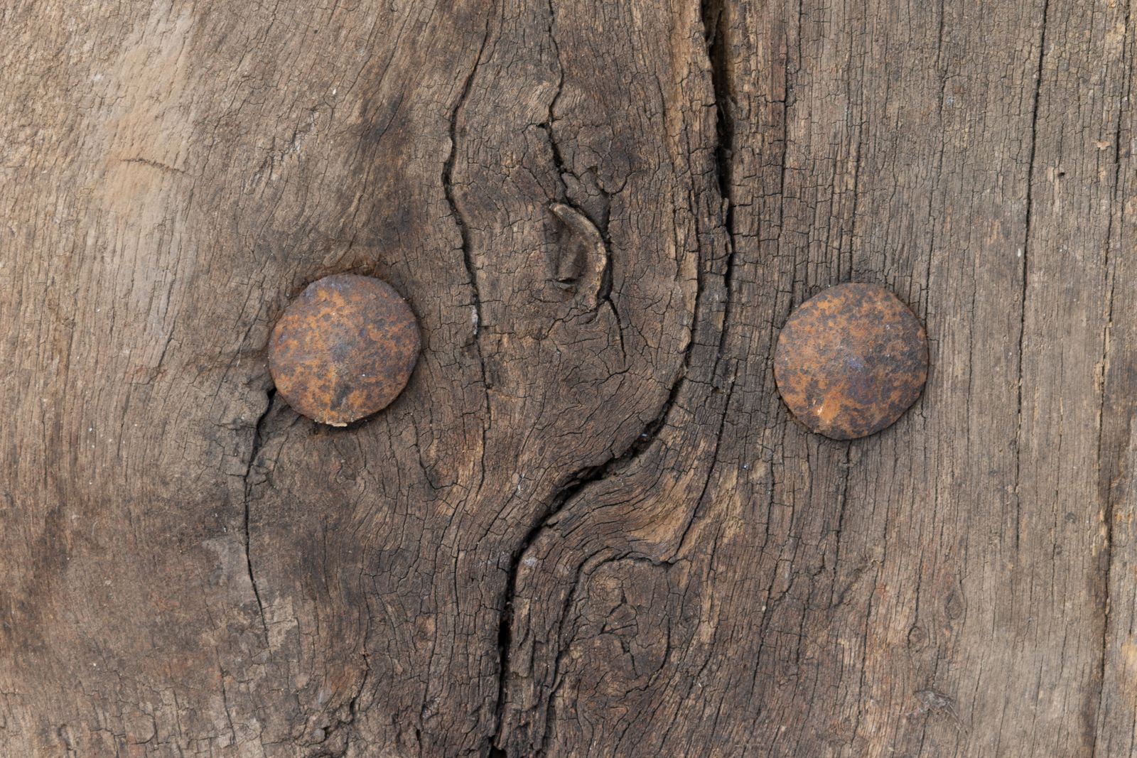 Oak Door, 1800s, Antique photo for sale