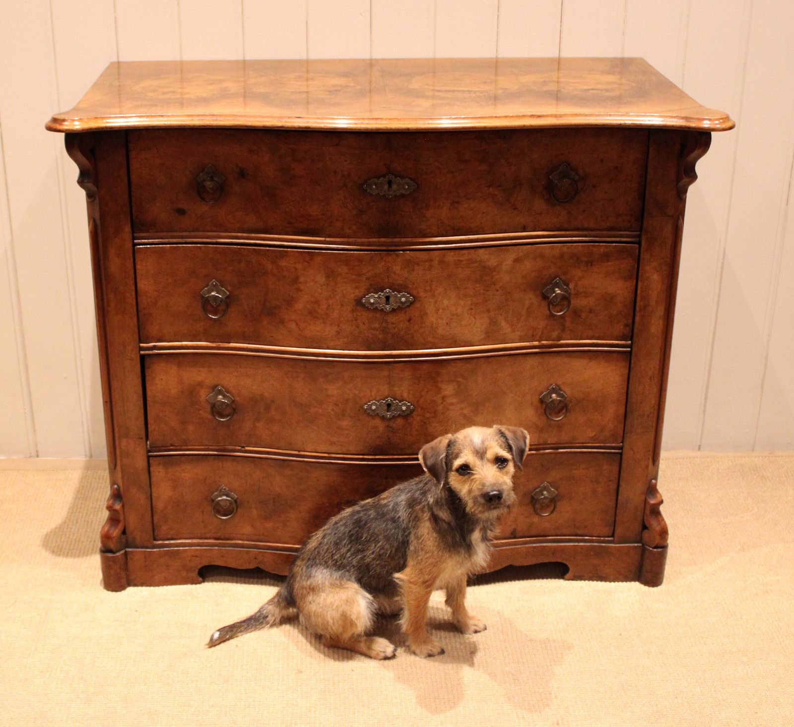 Furniture Mid 19th Century Burr Walnut Chest Of Drawers photo