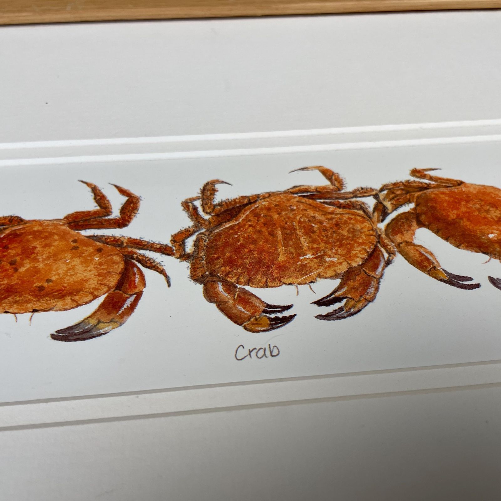 Crab Print Framed Wood Coastal Kitchen Wall Art Seafood Illustration Crustacean Picture Nautical Decor Display Animal Print photo Art