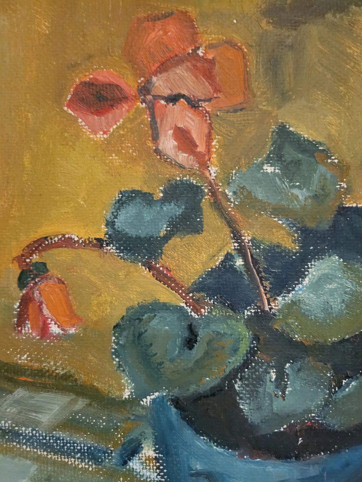 photo for sale Sunlit Cyclamen Vintage Mid Century Floral Still Life