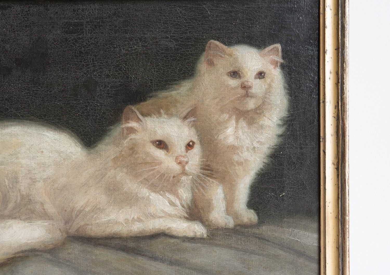 White Cat Portrait Original Antique Oil Painting, Attributed To Arthur Heyer photo 1320.0