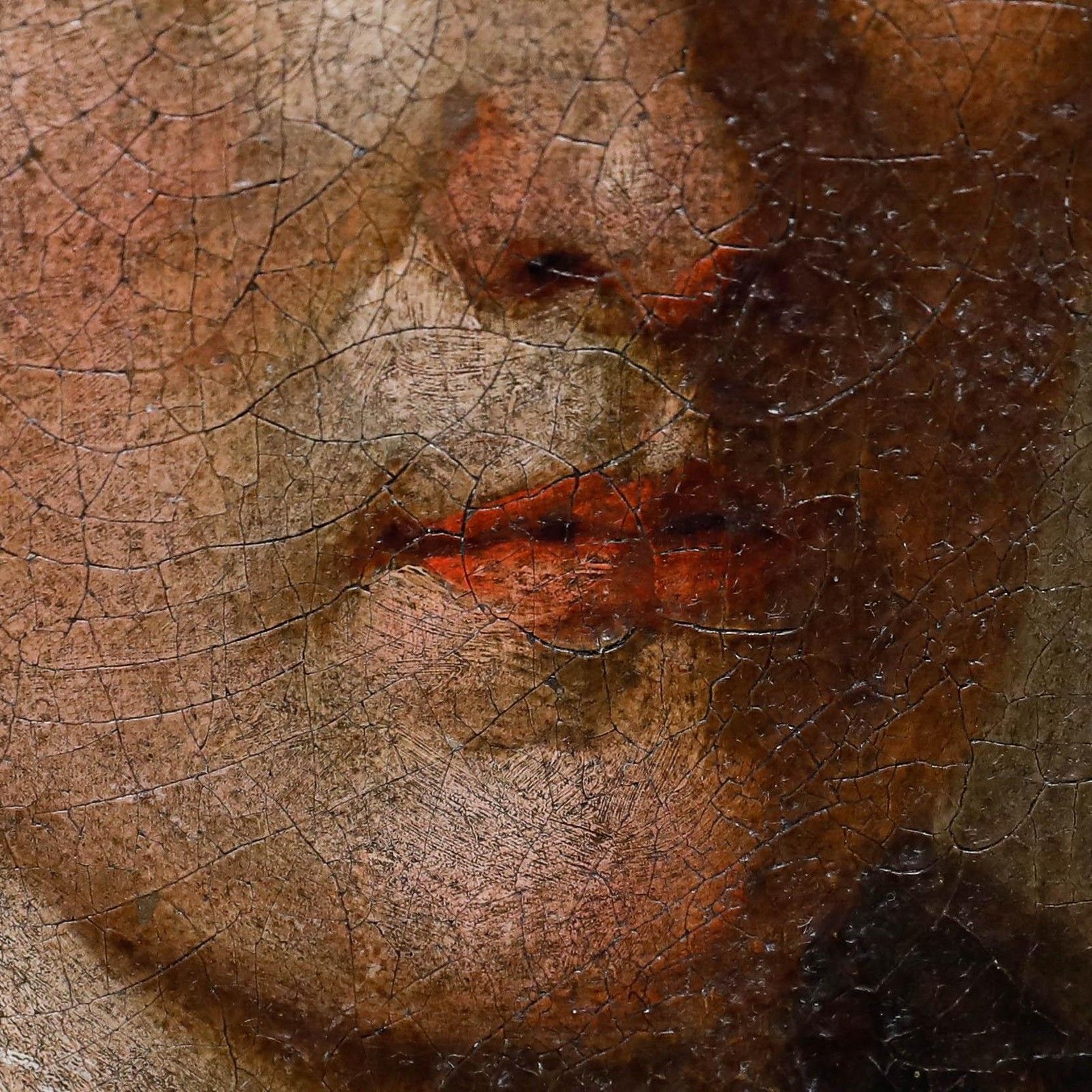 Flemish School 17th Century Oil Portrait Of A Respectable Woman photo Art