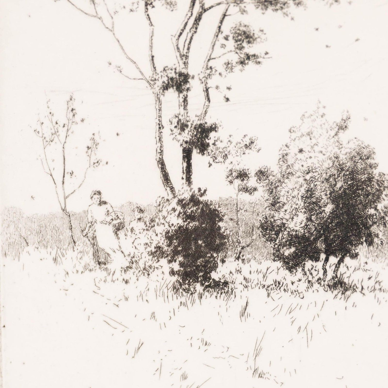 Alfred Hartley (1855 1933) Early 20th Century Etching, Autumn Breezes photo 145.0