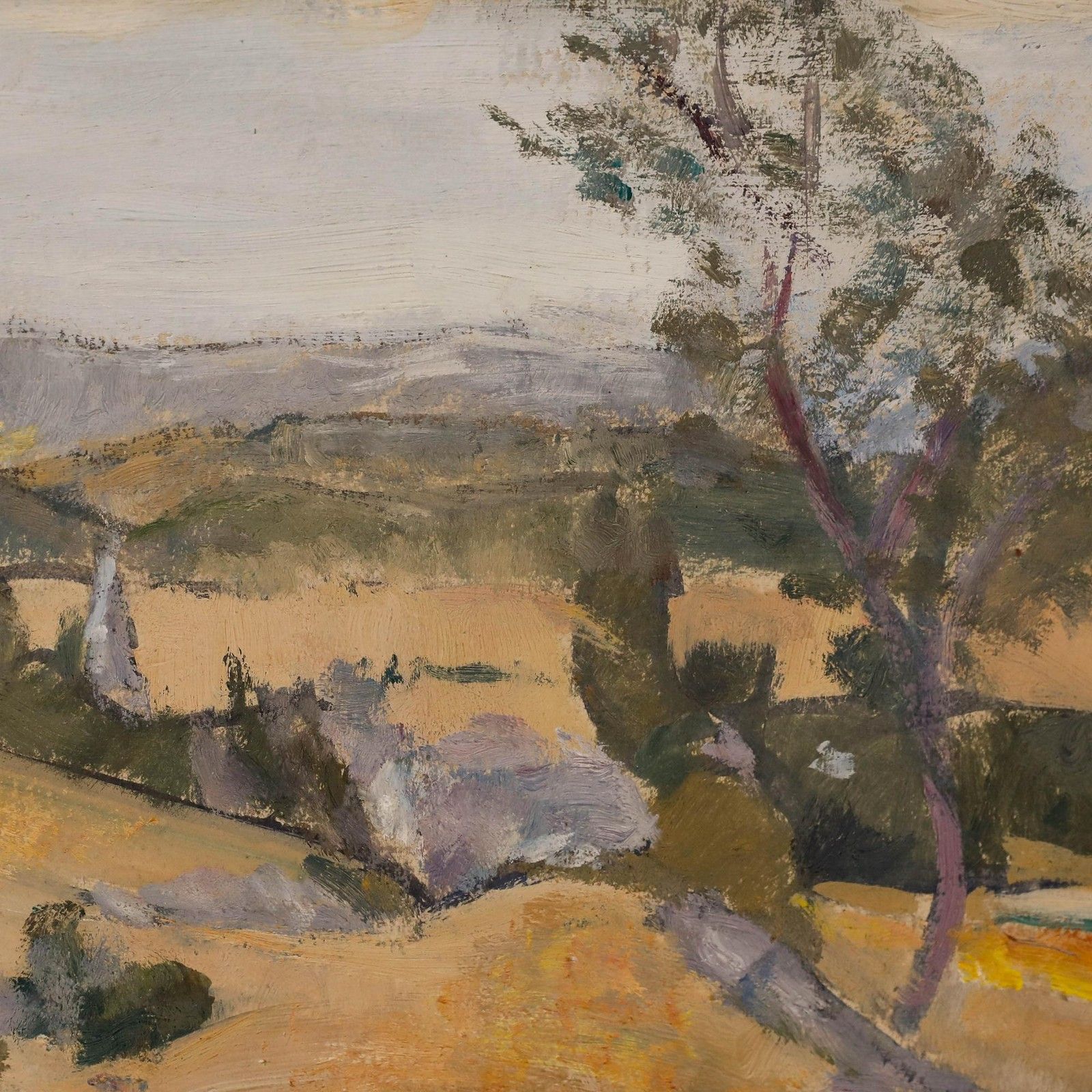 Cecile Hertz Eyrolles (1875 1974) Framed Mid 20th Century Oil, Golden Valley photo 450.0