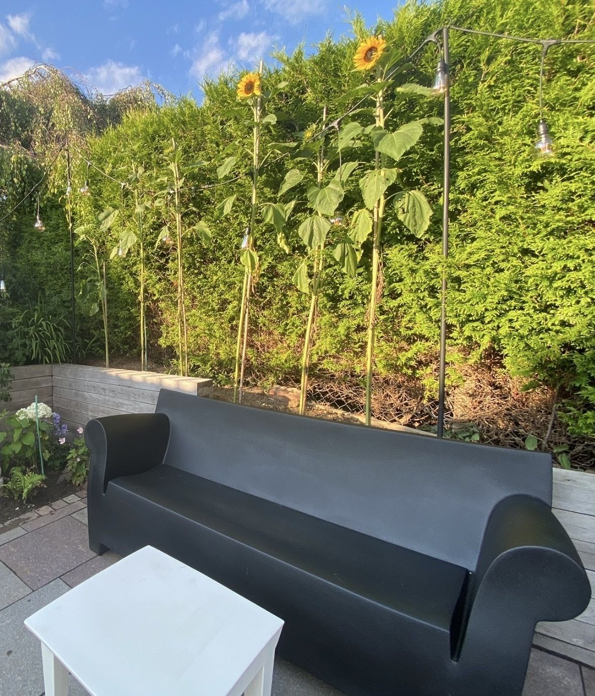 Philip Starck Bubble Club Outdoor Sofa By Kartell Black Outdoor Furniture photo furniture