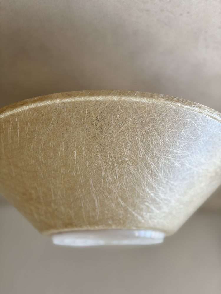 Louis Kalff Philips Ceiling Lamp, 1950s Fiberglass photo Lighting