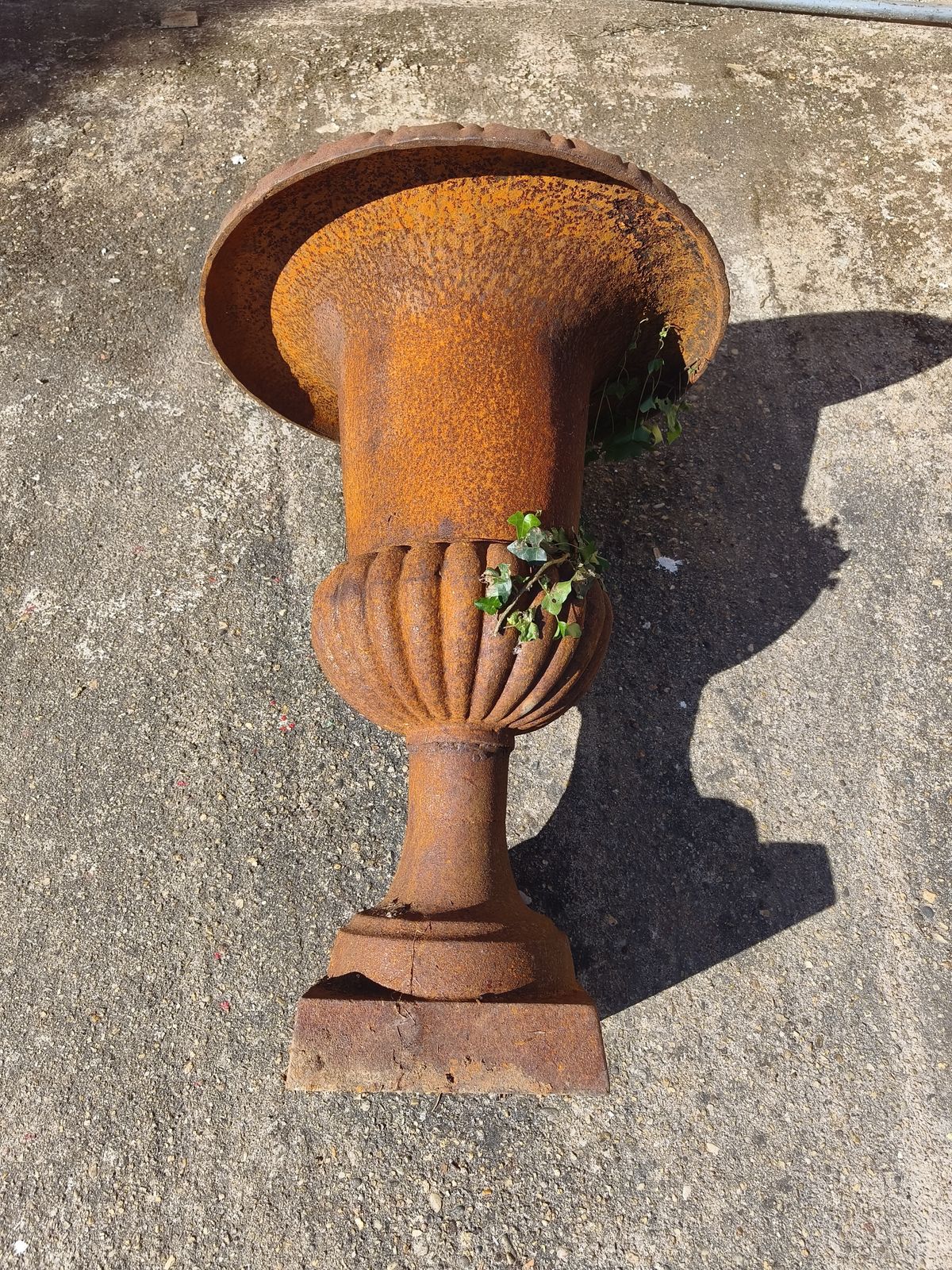1330.0 Pair Of 19th Century Cast Iron Medici Vases photo