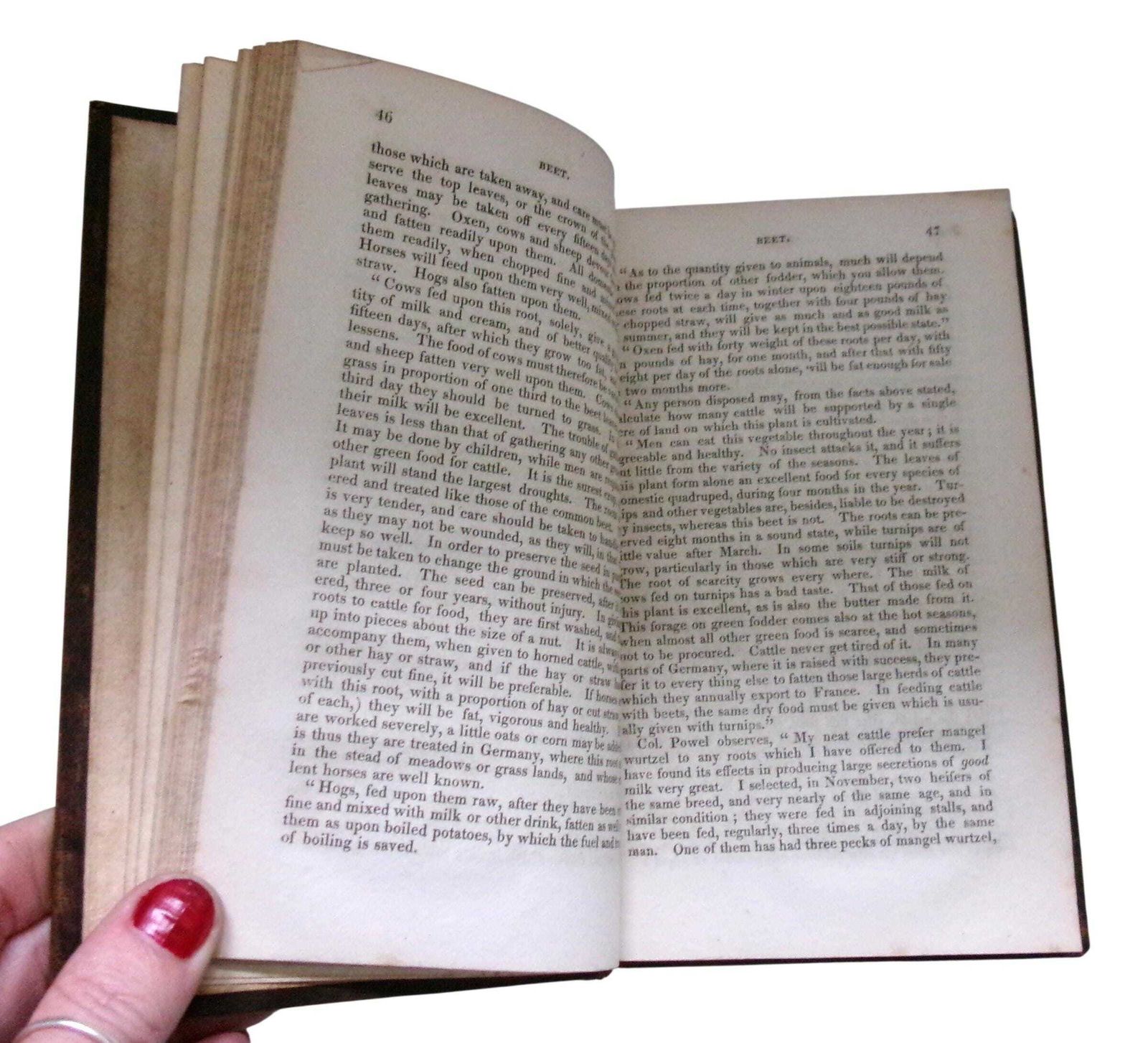 1828 Horticulture Book: New American Gardener, Thomas Fessenden, Full Leather Georgian photo buy