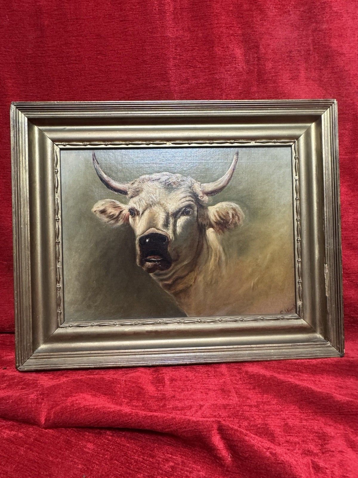 19th Century Prize White Hereford Bull Portrait Oil Painting Signed E Wood photo Art
