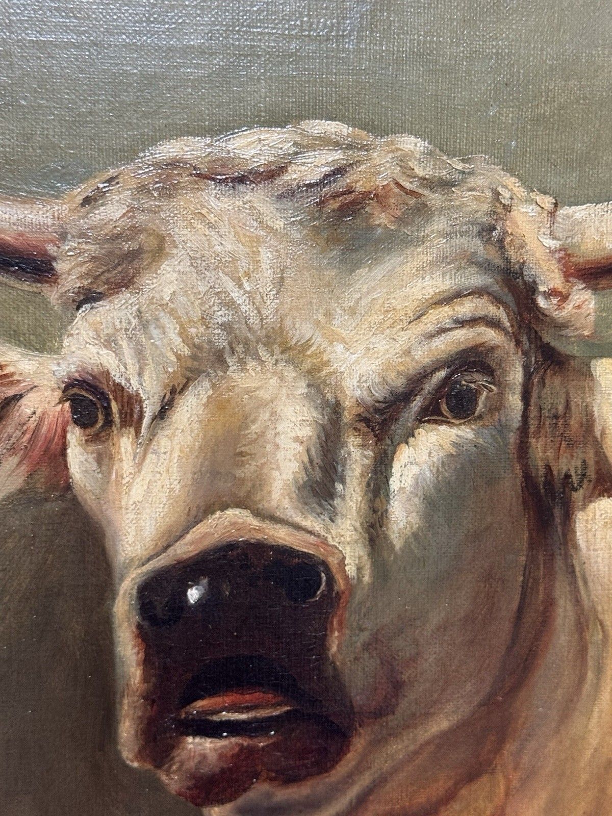 19th Century Prize White Hereford Bull Portrait Oil Painting Signed E Wood photo vintage