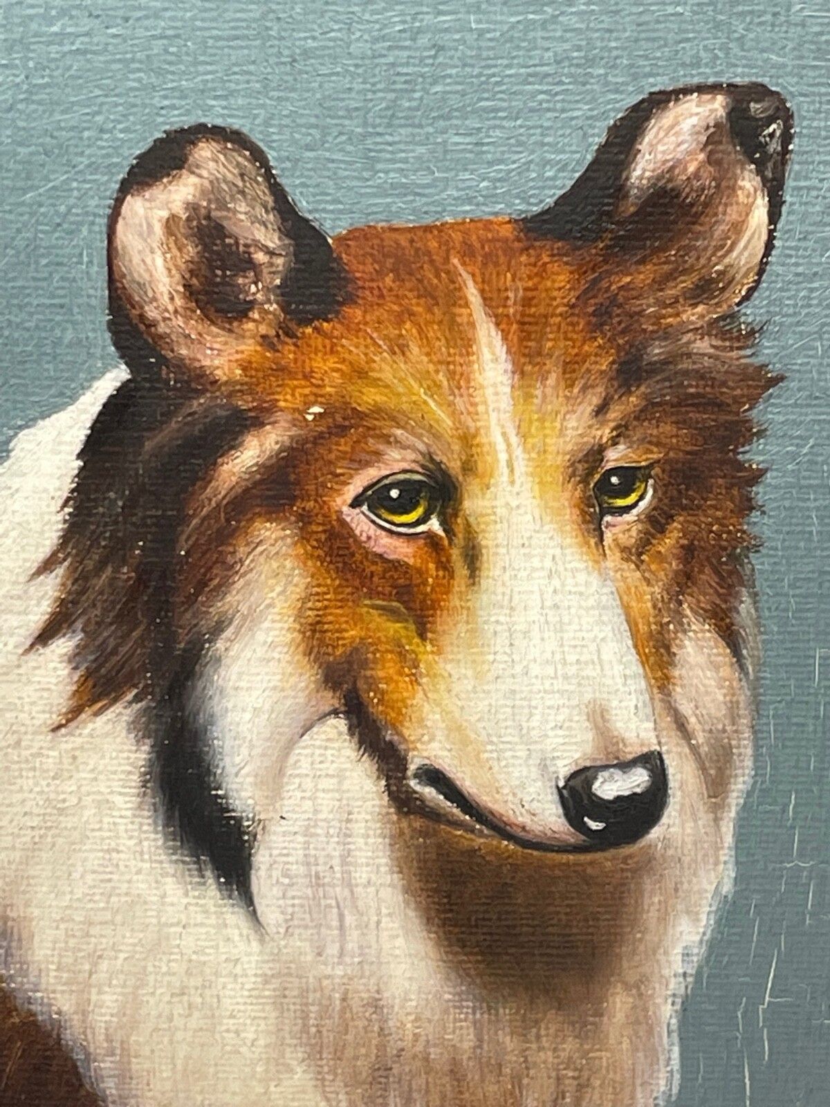 2600.0 Oil Painting Portrait Scottish Rough Collie Dogs Follower Benedict Angell Hyland photo