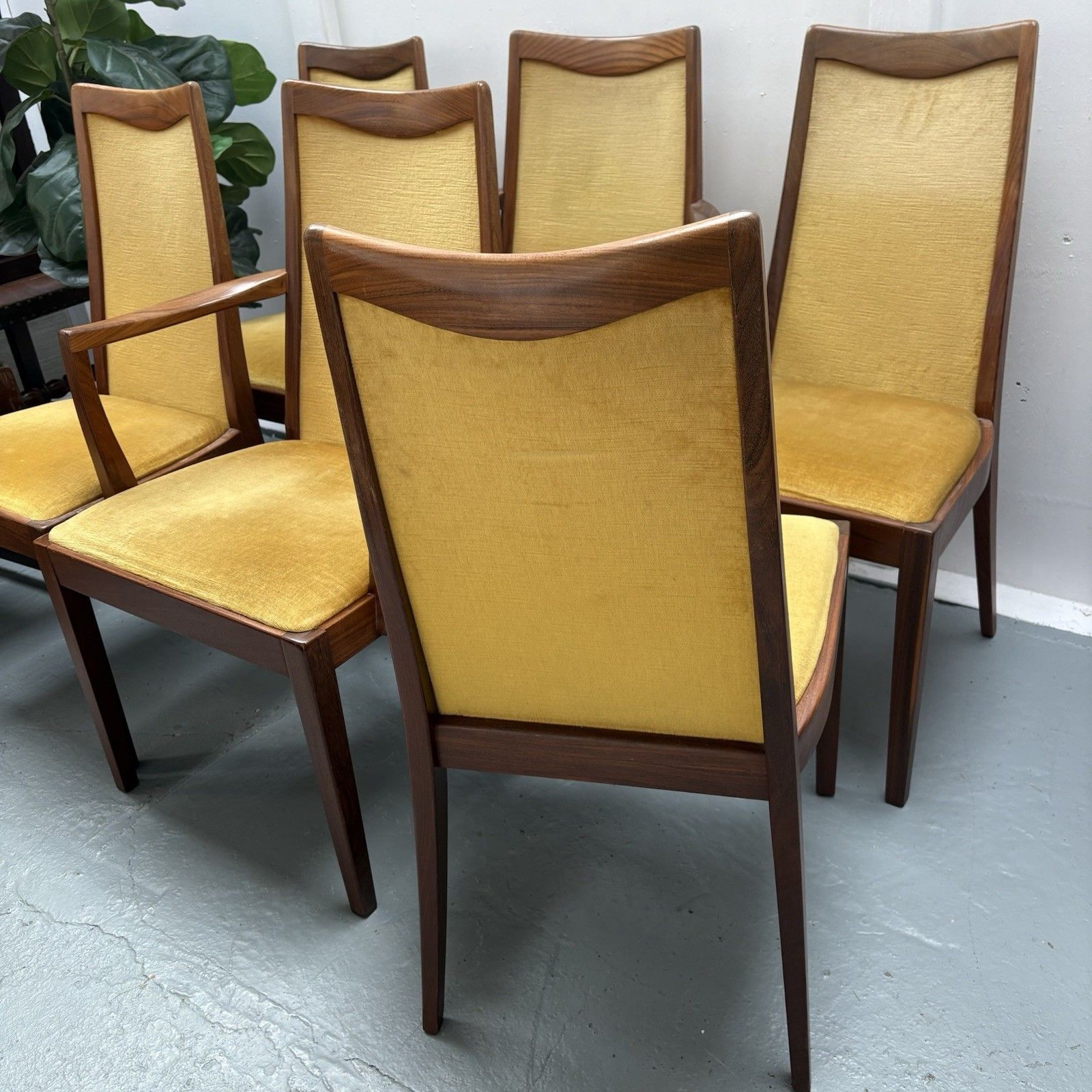 Furniture 6 Mid Century Teak & Mustard Fabric G Plan Dining Chairs By Leslie Dandy 1960s photo