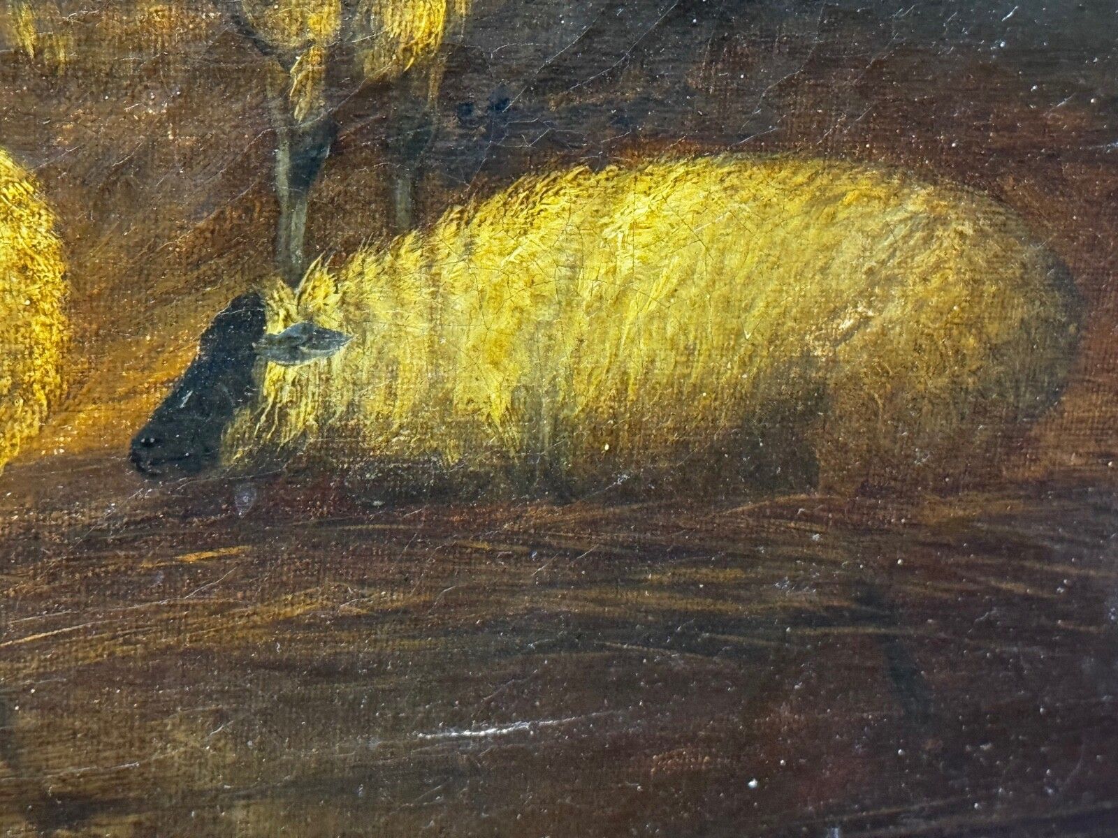 photo vinterior Painting Cows & Sheep Sheltering In Barn Follower Of Thomas Sidney Cooper C1850