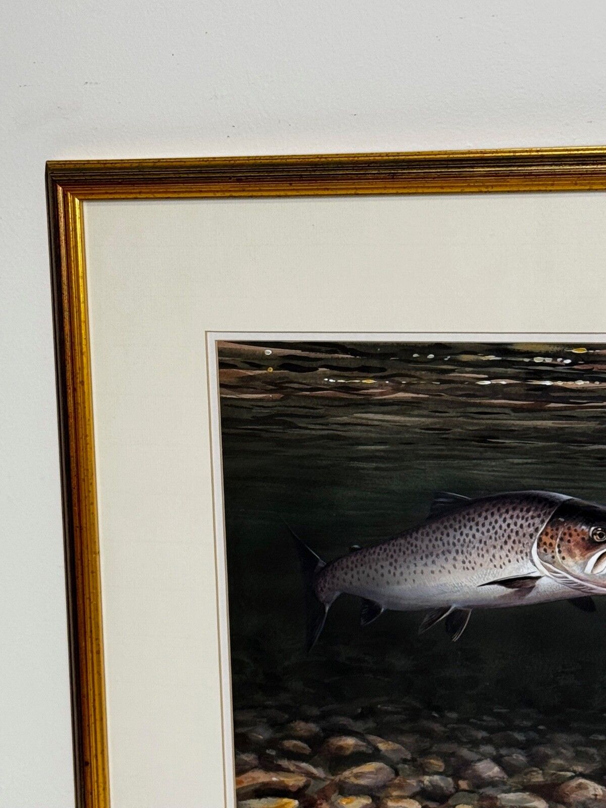 Sporting Painting Sea Trout Nearly Hooked The Silver Zulu Fly By Roger Mcphail photo for sale