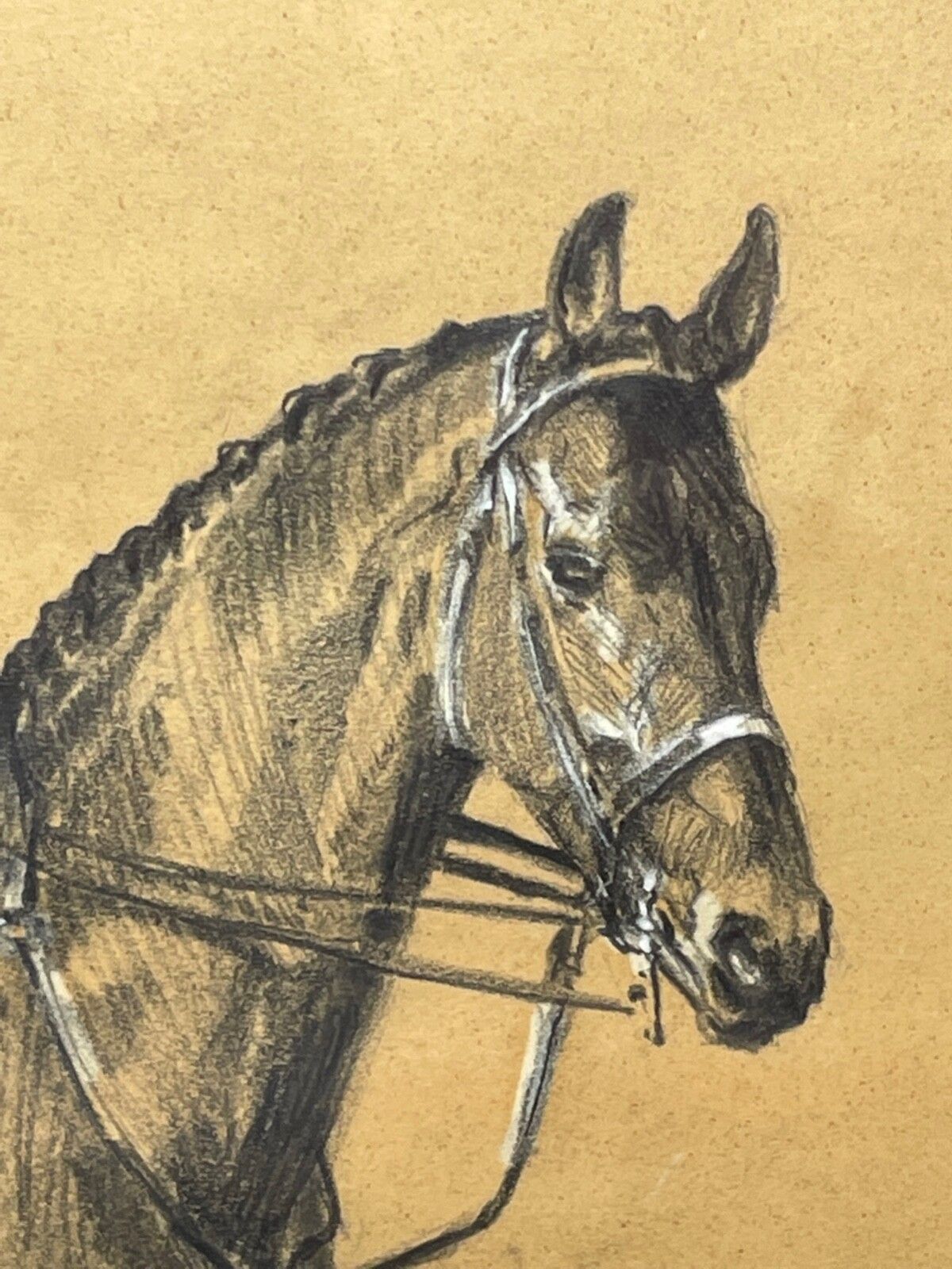 Jachttekening met witte hooglichting van American Foxhounds door Michael Lyne photo vinterior