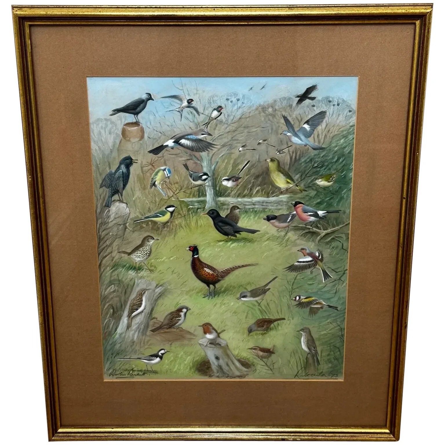 A Winter Gathering Robin & Mixed British Songbirds Manner Of Archibald Thorburn