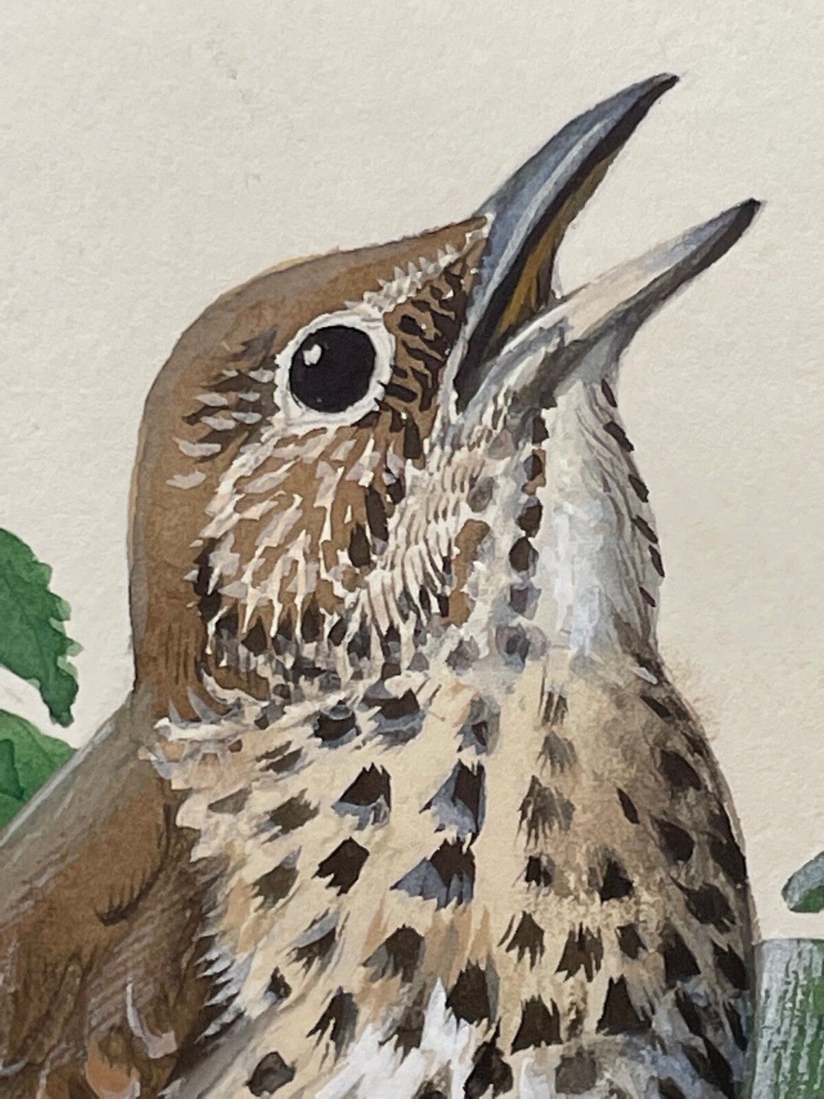 Mid Century Song Thrush Vogelschilderij door Charles Frederick Tunnicliffe OBE RA photo for sale