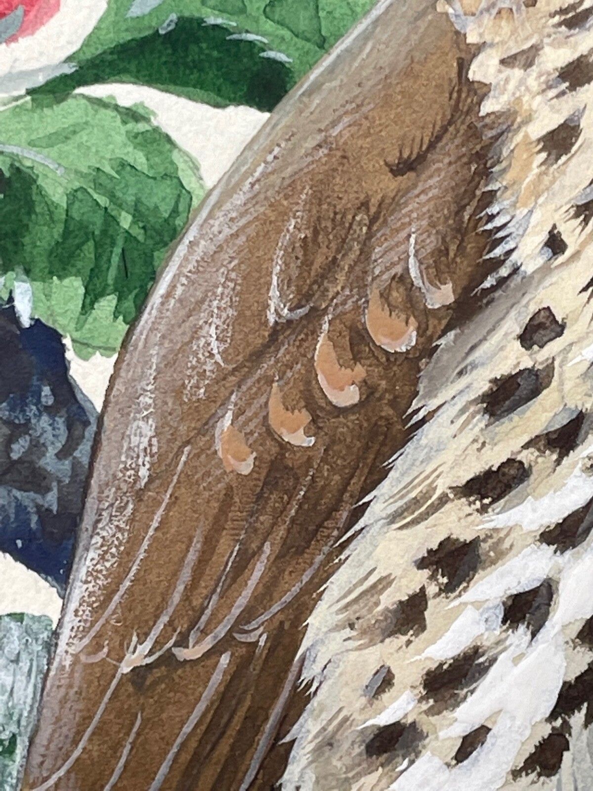 Mid Century Song Thrush Vogelschilderij door Charles Frederick Tunnicliffe OBE RA photo vinterior