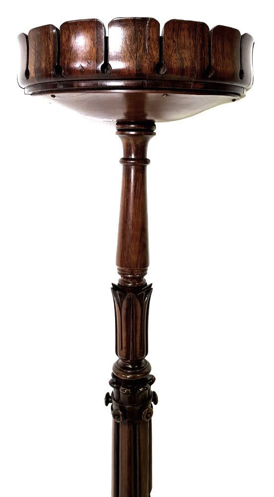 Very Rare William IV Rosewood Hall Planter In The Manner Of 'Williams & Gibton' photo for sale