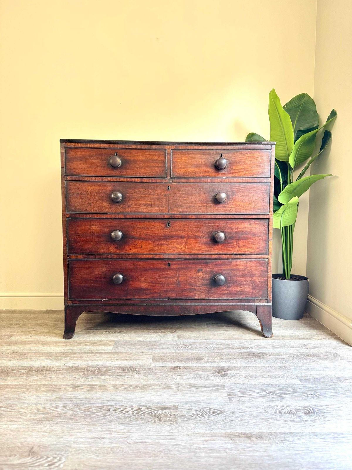 Antique Large Chest Of Drawers Mahogany 2 Over 3 Upon Original Handles Dark Wood