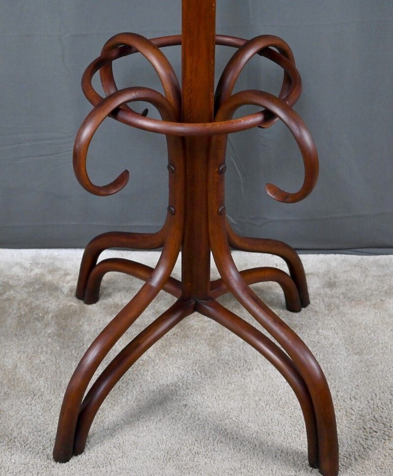 Large Parrot Coat Rack In Bent Beechwood, Thonet Style – Early 20th Century photo buy