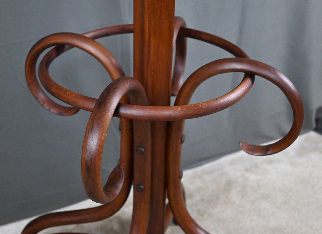 photo furniture Large Parrot Coat Rack In Bent Beechwood, Thonet Style – Early 20th Century