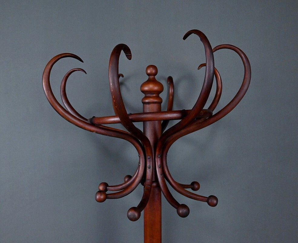photo vinterior Large Parrot Coat Rack In Bent Beechwood, Thonet Style – Early 20th Century