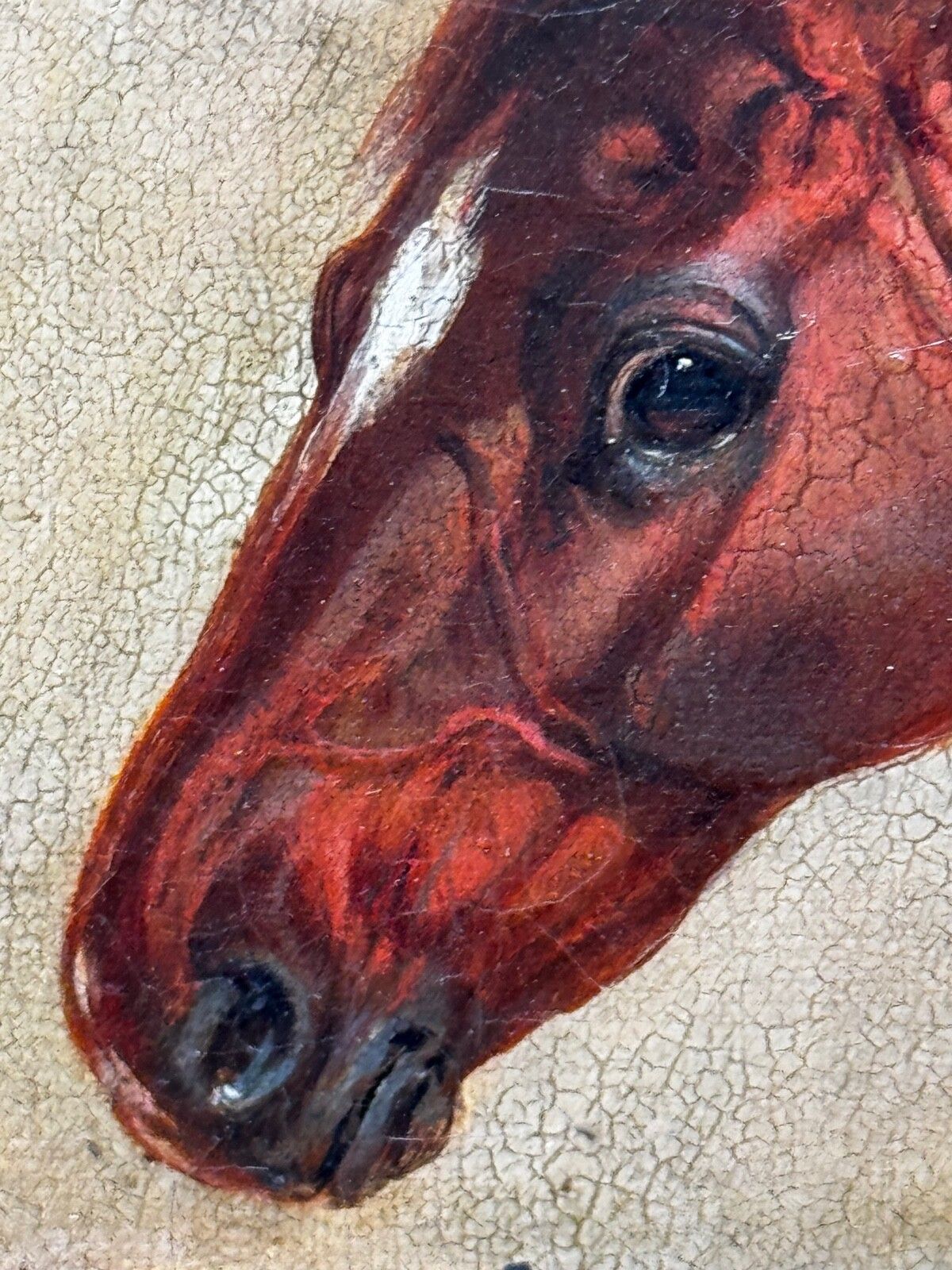 🐎 Equine Elegance Chestnut Hunter In Stable C1842 By Charles Bilger Spalding Ra photo Kunst