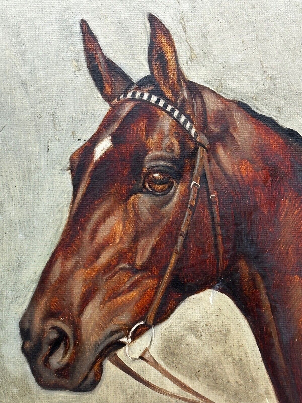 photo vinterior Equestrian Oil Portrait Of Champion Racehorse Craig An Eran By Walter Herbert Wheeler