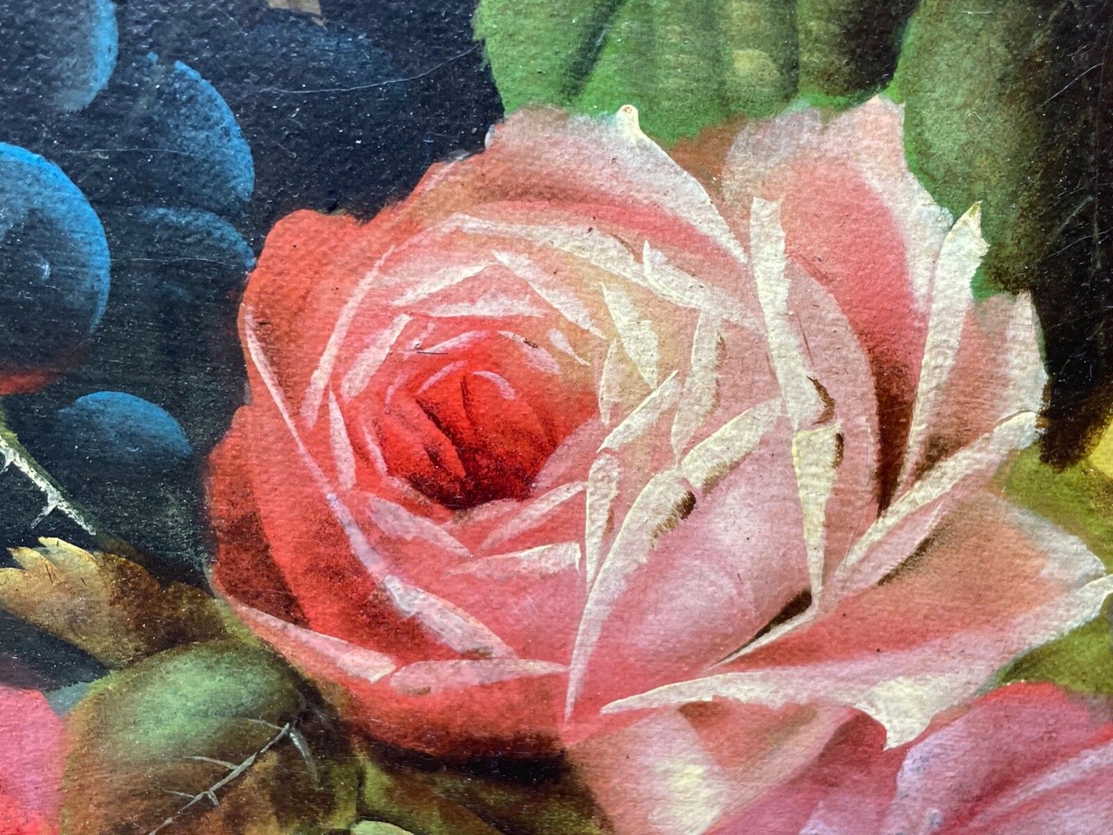 photo vinterior 19th Century British Work Of Art Oil Painting Still Life Roses Peaches & Grapes By Edwin Steele