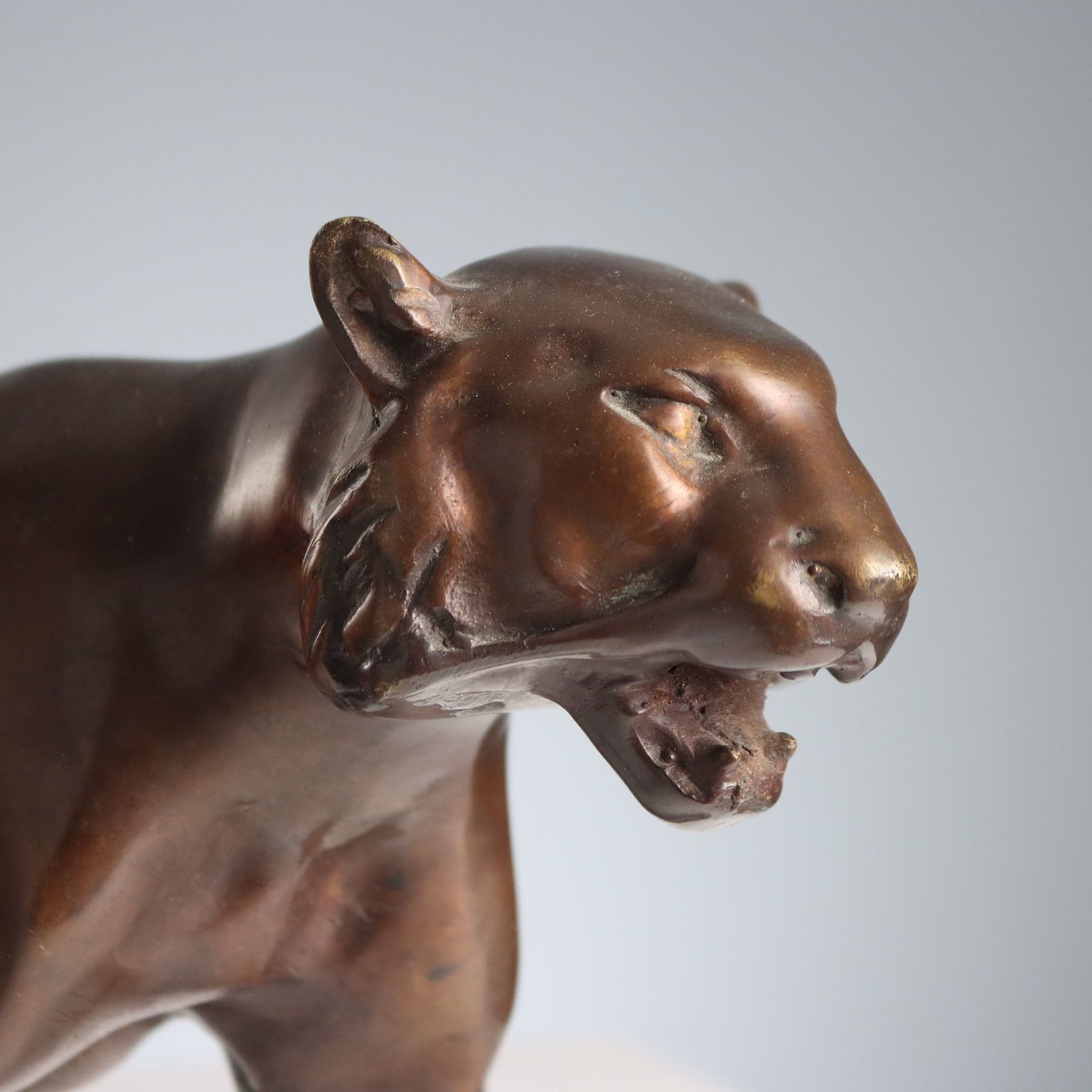 Antiek sculptuur bronzen panter Italië XX eeuw photo for sale