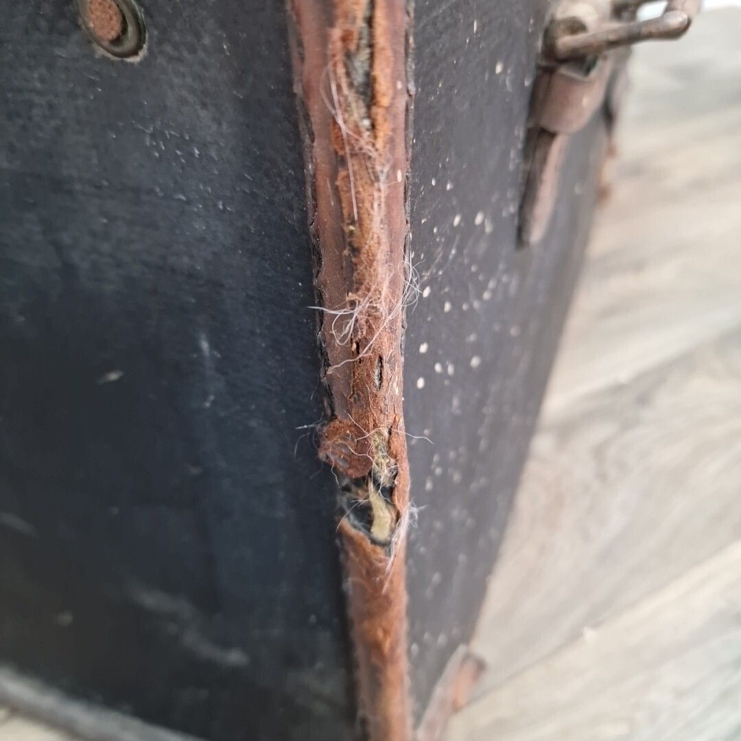 photo buy Antique Travel Trunk Canvas & Leather Domed Storage Luggage Steamer Pirate Chest
