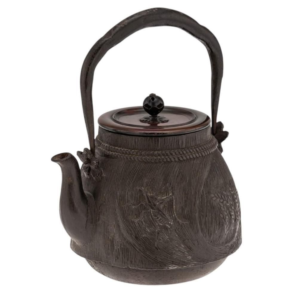 Antique 19thc Japanese Cast Iron 'Ryubundoa' Carved Tetsubin Kettle C.1890