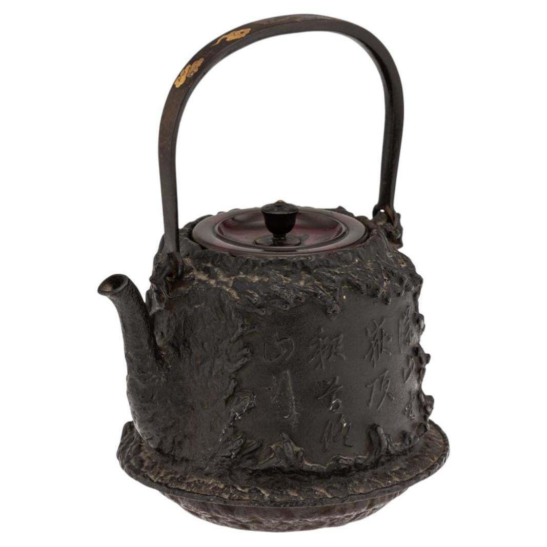 Antique 19thc Japanese Cast Iron 'Seiryudoa' Carved Tetsubin Kettle C.1890