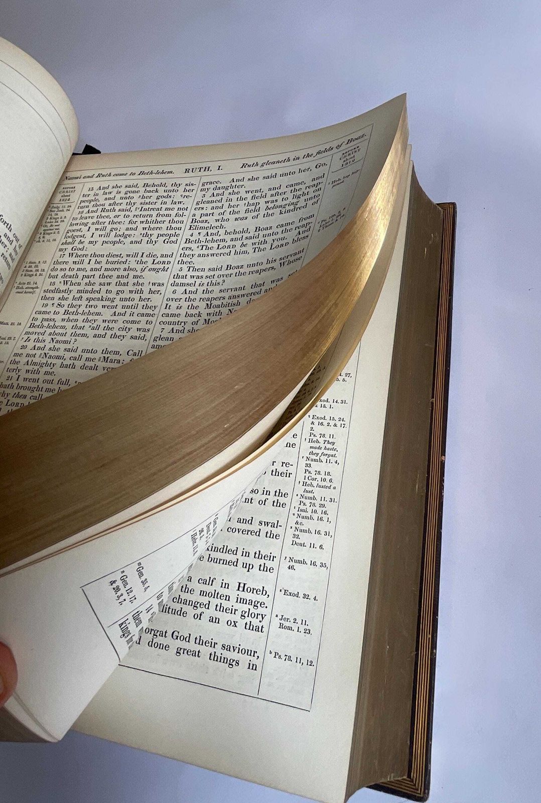 photo vinterior The Jacomb Dynastic Archive: 1846 Ornate Cambridge Pulpit Bible, Hand Inked Family Registry, And 1907 All Saints' Clapton Companion Volume